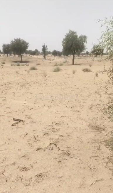 property_images/agricultural_in_bikaner_1782293701_6a3ba4c55ea16.jpg
