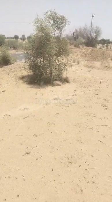 property_images/agricultural_in_bikaner_1782293701_6a3ba4c563032.jpg