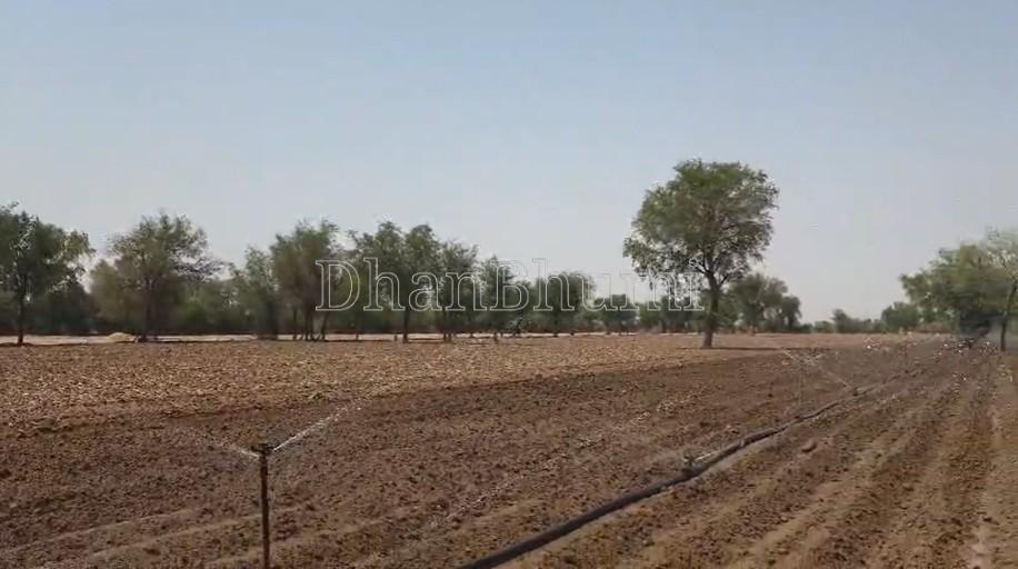 property_images/agricultural_in_bikaner_1782294550_6a3ba816135fe.jpg