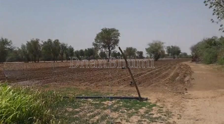 property_images/agricultural_in_bikaner_1782294550_6a3ba81619500.jpg