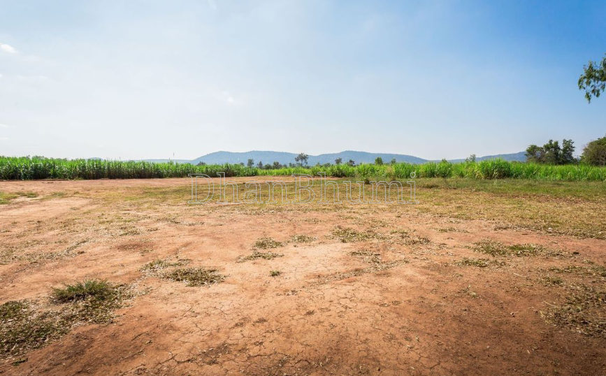 property_images/agricultural_in_bilaspur_1786693719_6a7ec857903dc.png