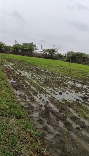 property_images/agricultural_in_bilaspur_1786958070_6a82d0f6d5c04.png