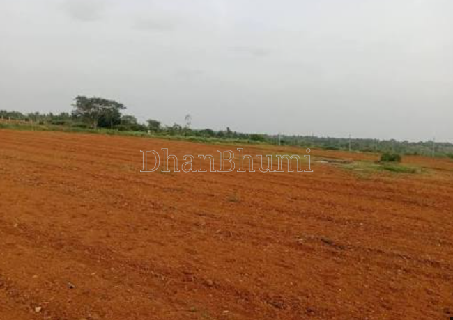 property_images/agricultural_in_bilaspur_1788760253_6a9e50bde4171.png