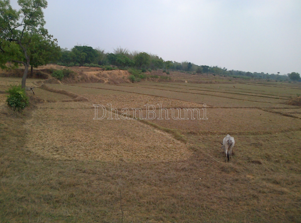 featured_img