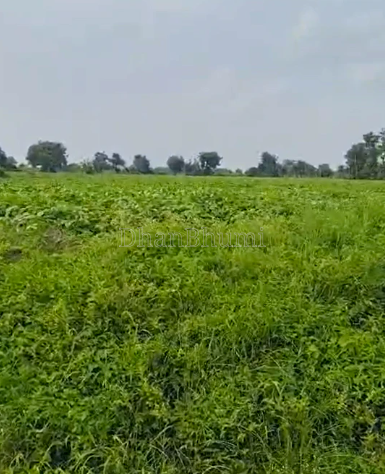 property_images/agricultural_in_botad_1791964763_6acf365b55e49.PNG