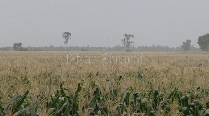 property_images/agricultural_in_budaun_1783070210_6a477e02e82e9.PNG