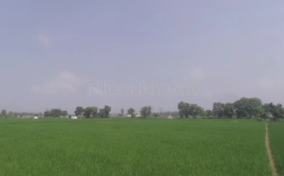 property_images/agricultural_in_budaun_1792578108_6ad8923cbae85.png