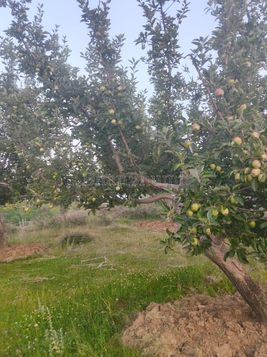 property_images/agricultural_in_budgam_1784098112_6a572d40d1fab.png