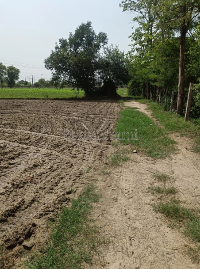 property_images/agricultural_in_bulandshahr_1782368528_6a3cc91042ee5.PNG