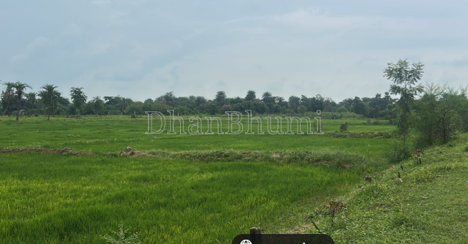 property_images/agricultural_in_bulandshahr_1787724192_6a8e81a0df3b0.png