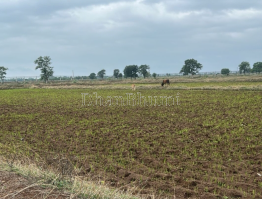 property_images/agricultural_in_bulandshahr_1787724776_6a8e83e81eef4.png