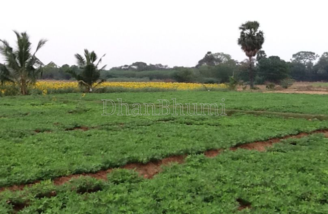property_images/agricultural_in_bulandshahr_1787811435_6a8fd66b6f743.png