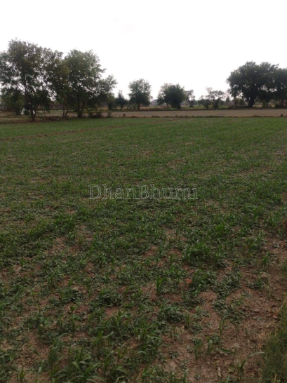 property_images/agricultural_in_bundi_1789382666_6aa7d00a4dcd7.PNG