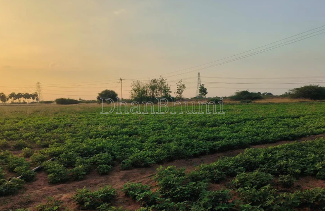 property_images/agricultural_in_burhanpur_1787215901_6a86c01d164da.png