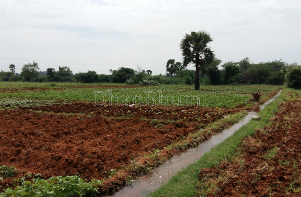 property_images/agricultural_in_chandauli_1781680084_6a3247d424e92.png