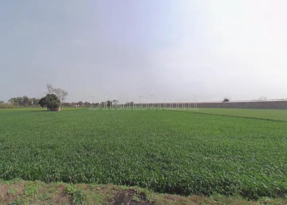 property_images/agricultural_in_charkhi_dadri_1782799059_6a435ad39c012.jpg