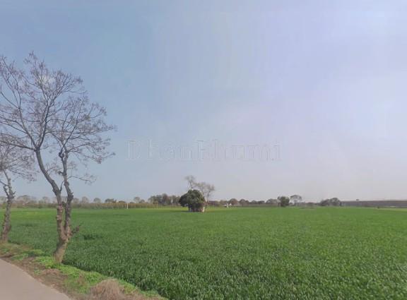 property_images/agricultural_in_charkhi_dadri_1782799616_6a435d0057408.jpg