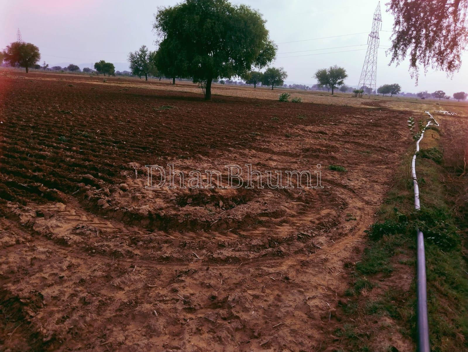 property_images/agricultural_in_charkhi_dadri_1783425444_6a4ce9a42606d.jpeg