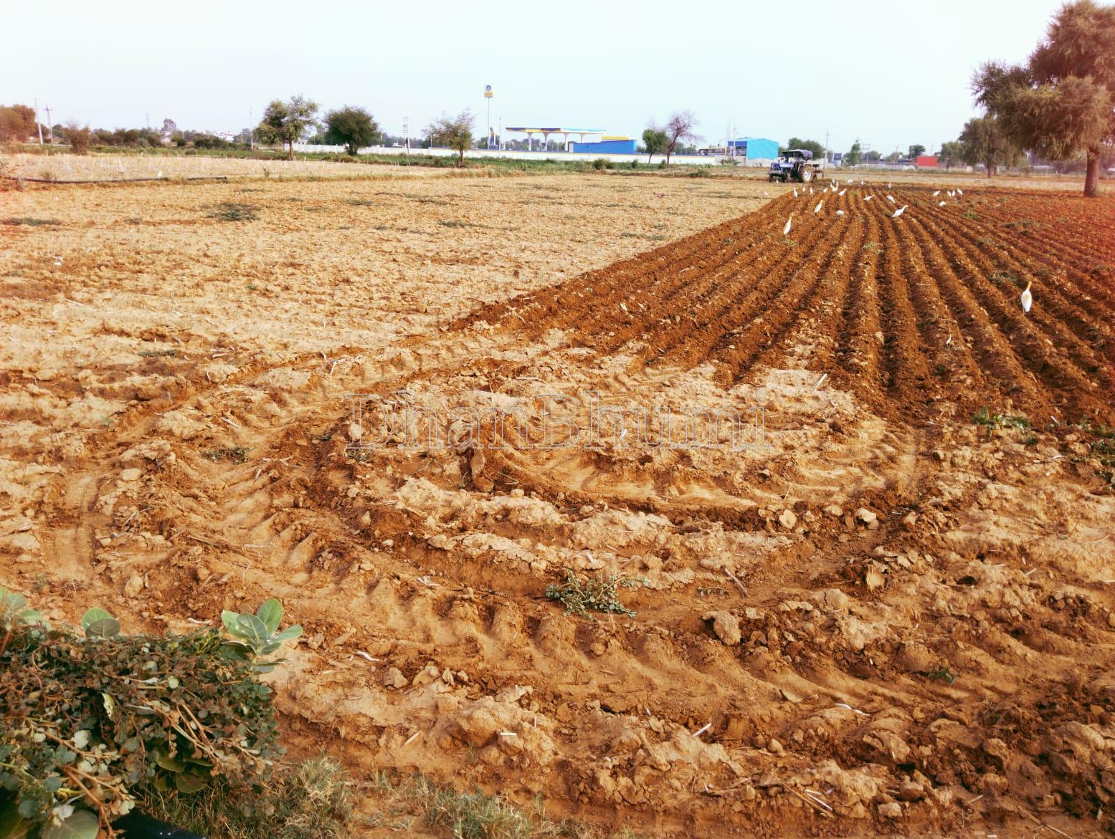 property_images/agricultural_in_charkhi_dadri_1783425444_6a4ce9a472b54.jpeg