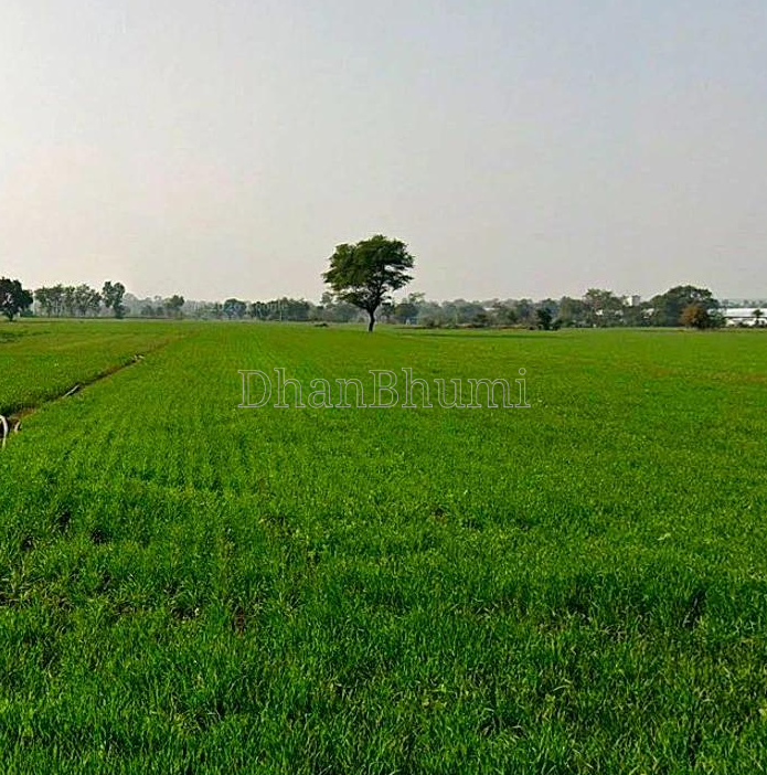 featured_img