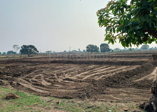 property_images/agricultural_in_chhatarpur_1786017296_6a74761066e63.png
