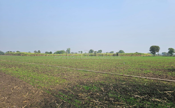 property_images/agricultural_in_chhatarpur_1786017620_6a74775417971.png