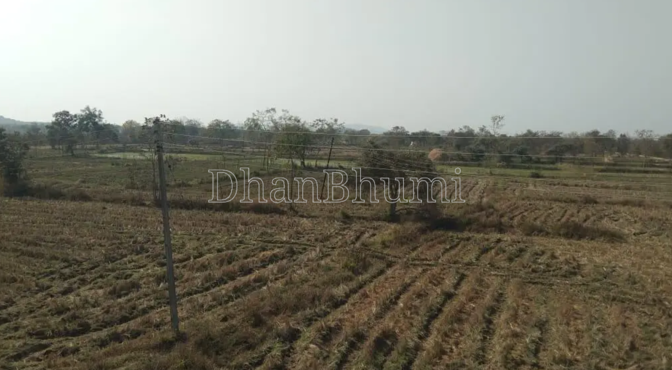 property_images/agricultural_in_chhatarpur_1786361920_6a79b840c73e6.png