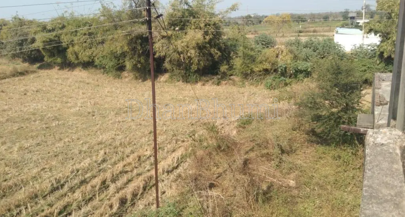 property_images/agricultural_in_chhatarpur_1786362101_6a79b8f59e291.png