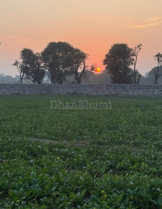 property_images/agricultural_in_chhatarpur_1786430494_6a7ac41e28874.png