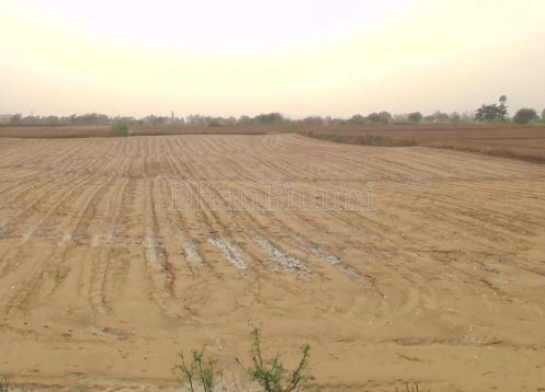 property_images/agricultural_in_chhatarpur_1788170962_6a9552d2dd278.png