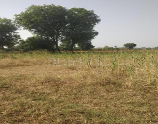 property_images/agricultural_in_chhatrapati_sambhajinagar_aurangabad_1788247969_6a967fa1d6b90.png