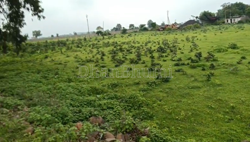 property_images/agricultural_in_chhindwara_1786340192_6a796360e1cfd.png