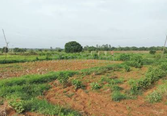 property_images/agricultural_in_chhindwara_1791800676_6accb564eddc8.png
