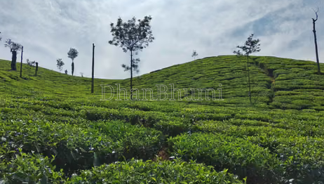 property_images/agricultural_in_chikkamagaluru_1785916306_6a72eb922ac26.png
