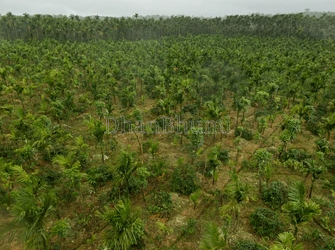 property_images/agricultural_in_chikkamagaluru_1785916306_6a72eb9236e6d.png