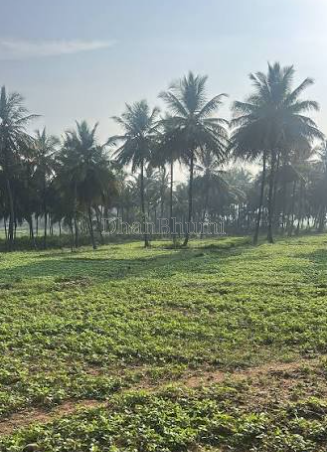 property_images/agricultural_in_chikkamagaluru_1785926798_6a73148e1942a.png