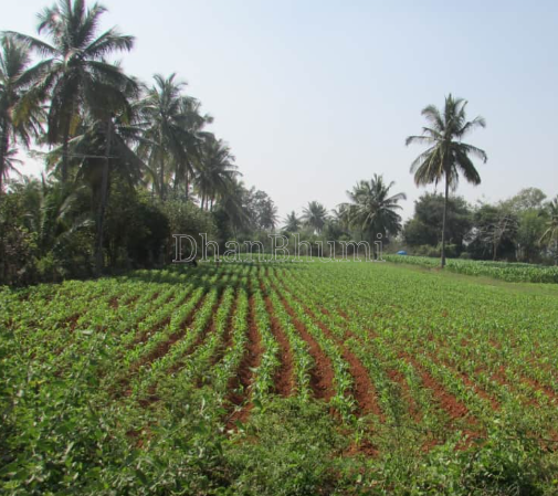 property_images/agricultural_in_chikkamagaluru_1785926798_6a73148e2a47c.png