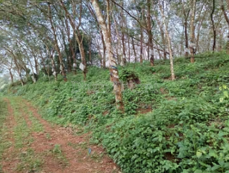 property_images/agricultural_in_chikkamagaluru_1788940911_6aa1126f1298a.png