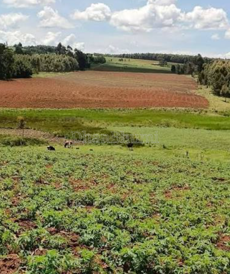 property_images/agricultural_in_chitradurga_1785922068_6a7302148cc32.png