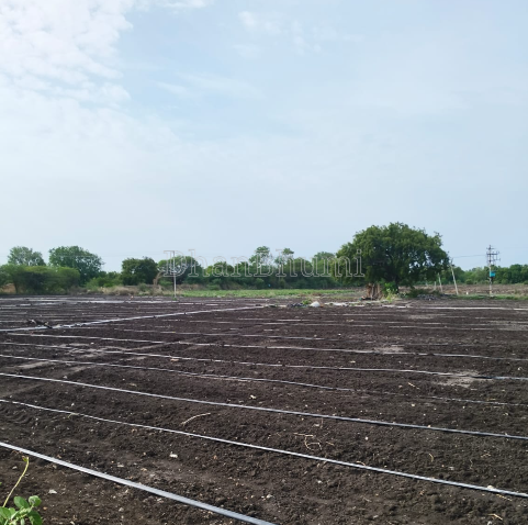 property_images/agricultural_in_chitradurga_1791354161_6ac5e53123625.png