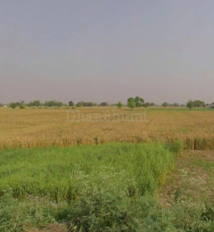 property_images/agricultural_in_chitrakoot_1789452036_6aa8df04687cd.png