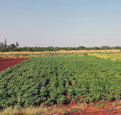 property_images/agricultural_in_chittorgarh_1785996487_6a7424c73bbb9.png