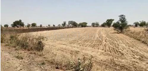 property_images/agricultural_in_dadri_1781682945_6a3253012dc88.png