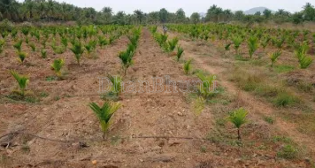 property_images/agricultural_in_dakshina_kannada_1785922475_6a7303ab82829.png