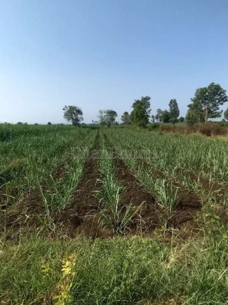 property_images/agricultural_in_dakshina_kannada_1785923453_6a73077d27ab1.png