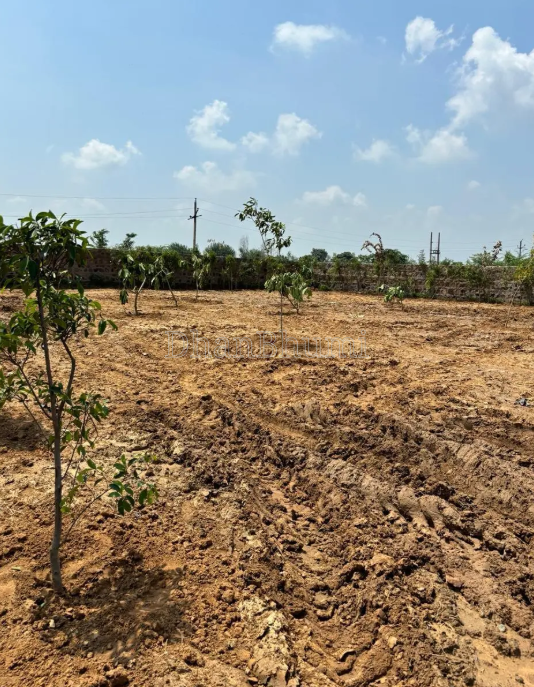 property_images/agricultural_in_damoh_1781518029_6a2fcecd76b73.png