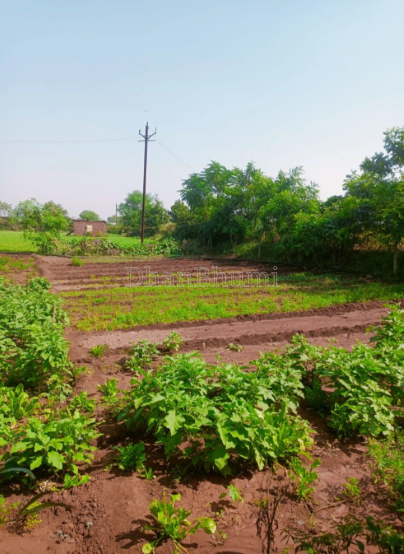 property_images/agricultural_in_darjeeling_1790683274_6abba88a9bd6b.PNG