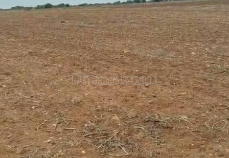 property_images/agricultural_in_datia_1788947684_6aa12ce431277.png