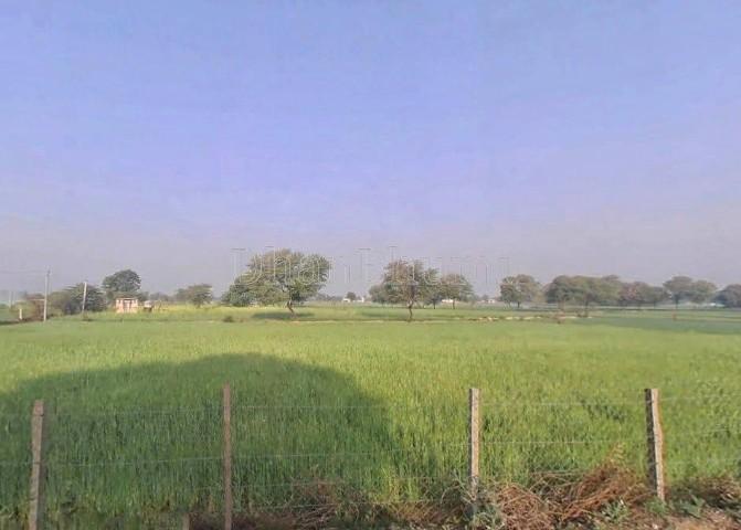 featured_img
