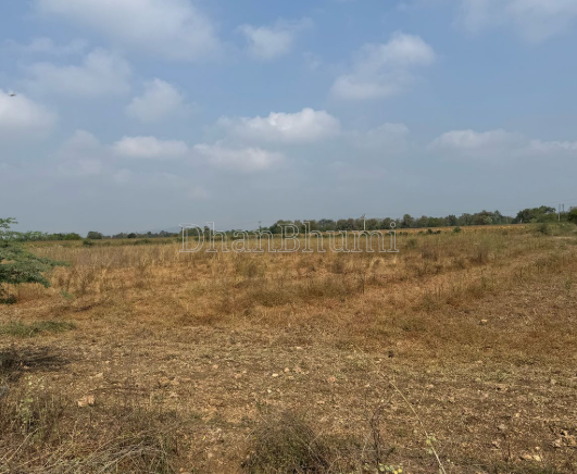 property_images/agricultural_in_dausa_1789020965_6aa24b2507646.png